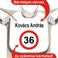 Egyedi évszámos,neves pártedli